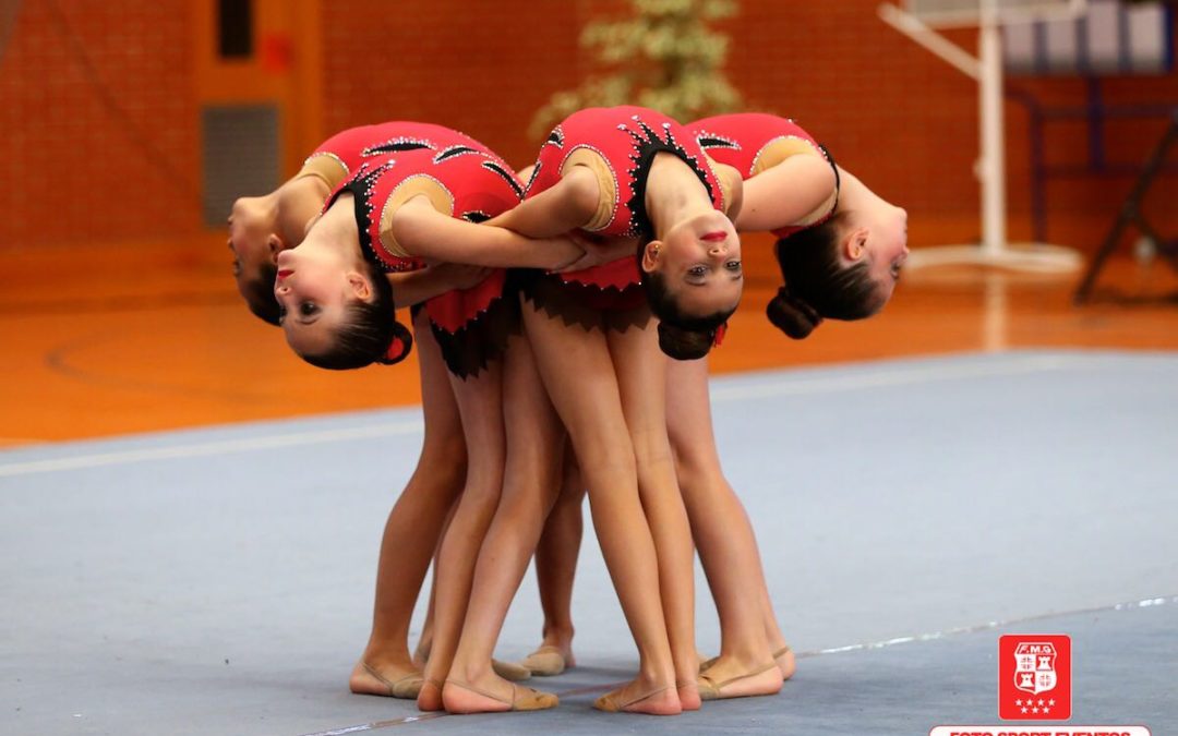 Seguimos en la brecha: Final de la Comunidad de Madrid, Federación y Escuelas