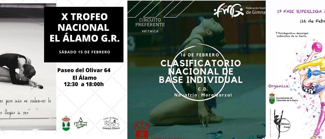 Clasificatorio para el Campeonato de España, Torneo El Álamo y Fase de Área