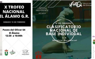 Clasificatorio para el Campeonato de España, Torneo El Álamo y Fase de Área